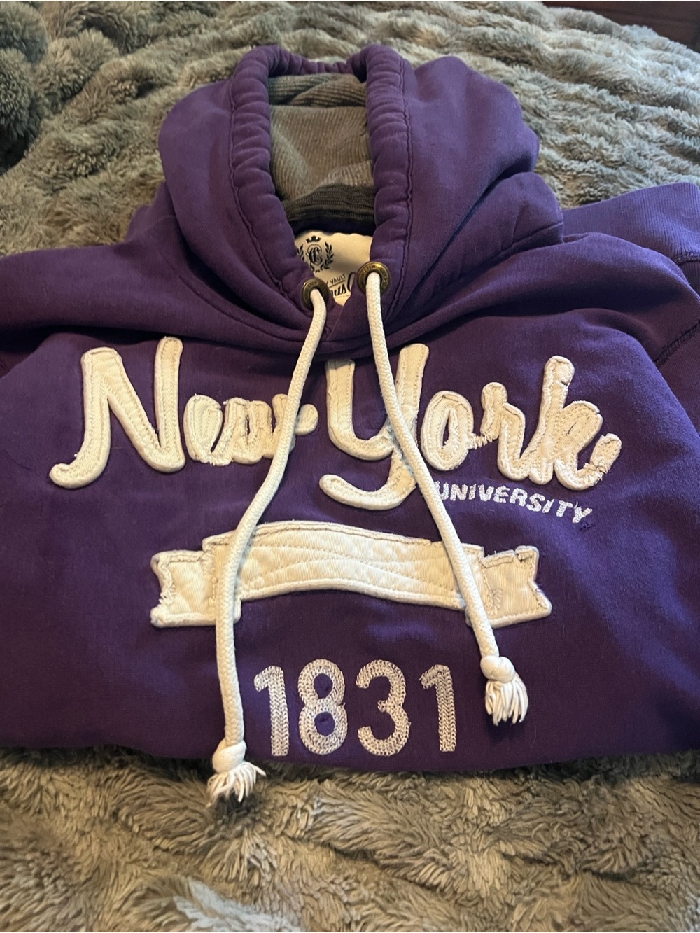 Campus Crew Purple New York University Hoodie Vintage Y2K NYU sweatshirt